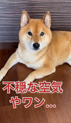 不穏な空気ワン