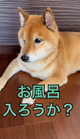 お風呂入ろうかテロップ