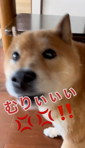 むりぃぃぃ