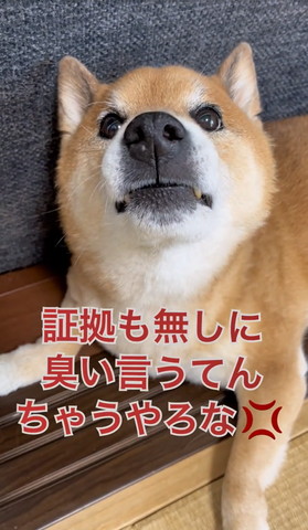 証拠もなしにテロップ