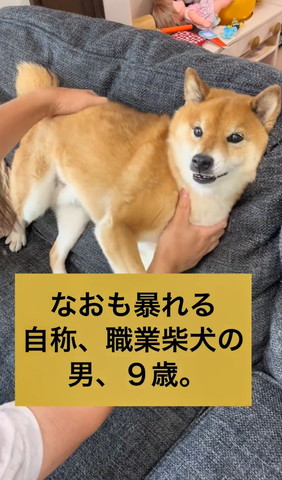 なおも暴れるテロップ