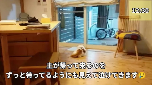 泣けてくる