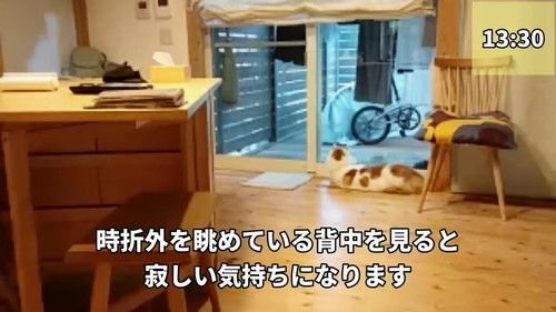 外をながめている