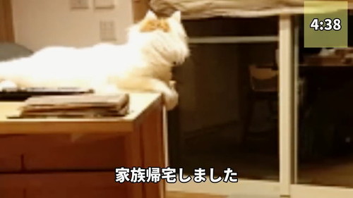 車に気付く