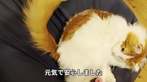 安心しました