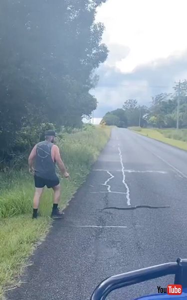 ヘビを安全な場所に移動