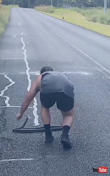 ヘビを安全な場所に移動