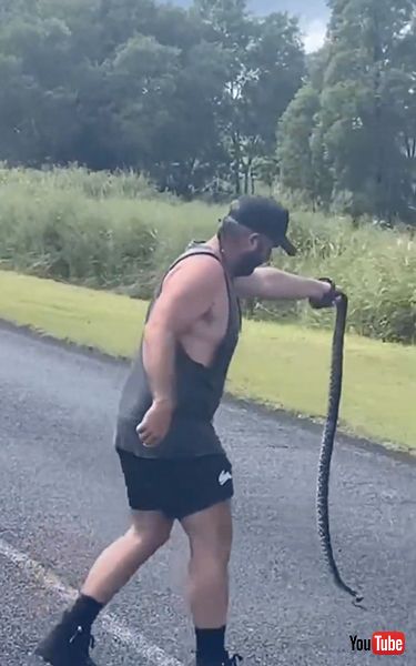 ヘビを安全な場所に移動