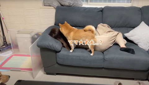 ママ大丈夫テロップ