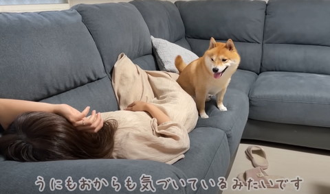 うにもおからも気づいてるみたいです