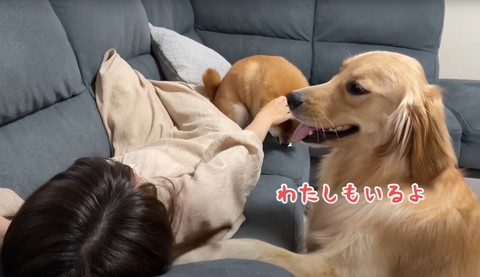 私もいるよテロップ