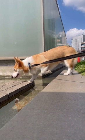 れんがに足を置く横顔