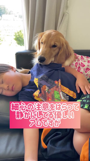 りくくんを気遣うアムちゃん