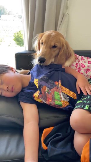 離れようとするアムちゃん