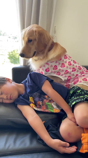 体を起こすアムちゃん