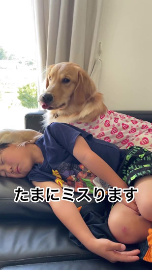 顔に前足を置くアムちゃん