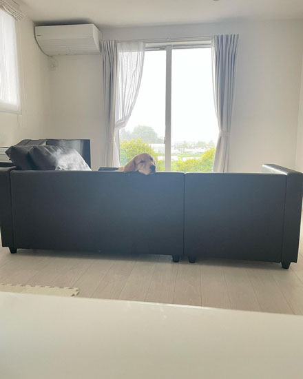 見つめてくるアムちゃん