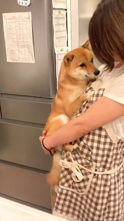 柴犬とママ