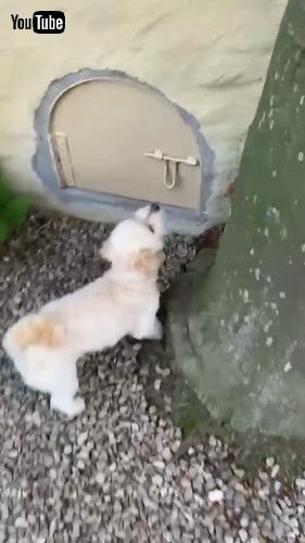 ドアを開けると