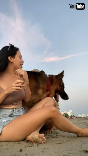 「Jealous Dog Wants All Affection || ViralHog」