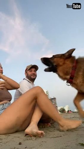 「Jealous Dog Wants All Affection || ViralHog」