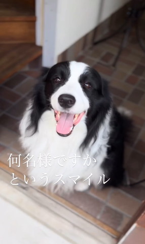 何名様ですかというテロップ