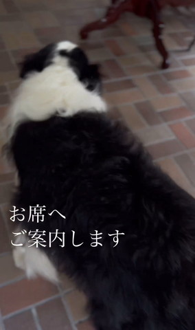 お席へご案内しますテロップ