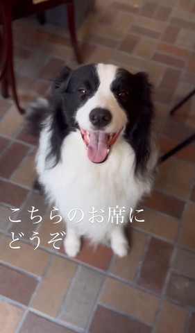 こちらのお席にどうぞテロップ