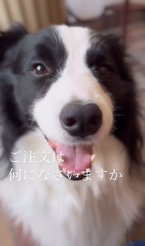 ご注文は何になさいますかテロップ