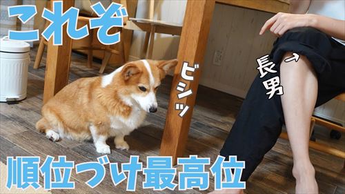 おすすめ