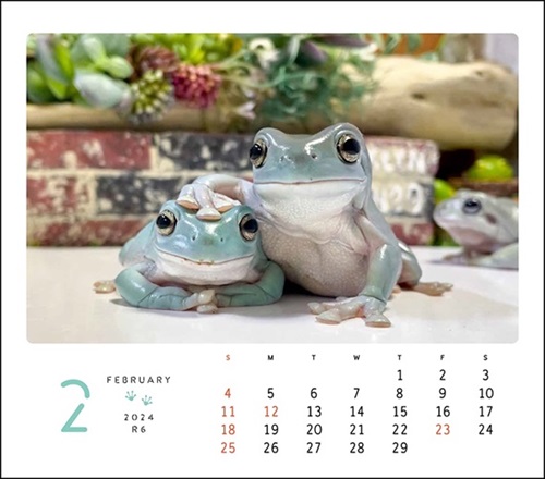 ぴよのカエルカレンダー2024年2月
