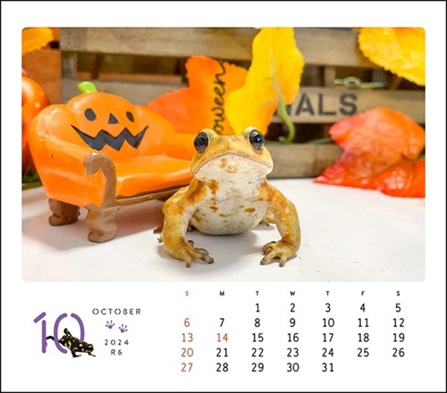 ぴよのカエルカレンダー2024年10月