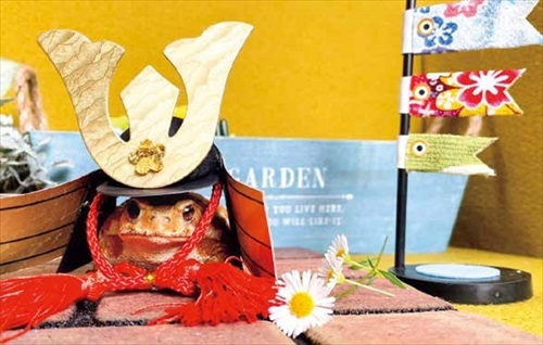 ぴよのカエルカレンダー子どもの日