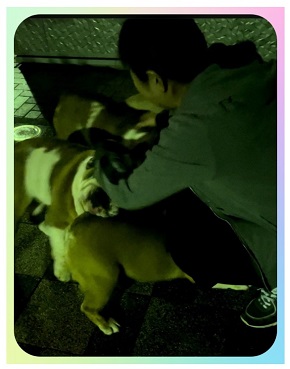 帰国して愛犬と再会した北斗晶