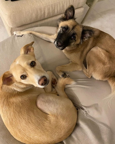 ナナちゃんとレオくん