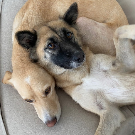 ナナちゃんとレオくん