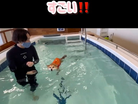 すごいテロップ