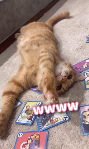 wwwwテロップ