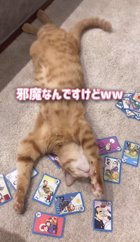 邪魔なんですけどテロップ