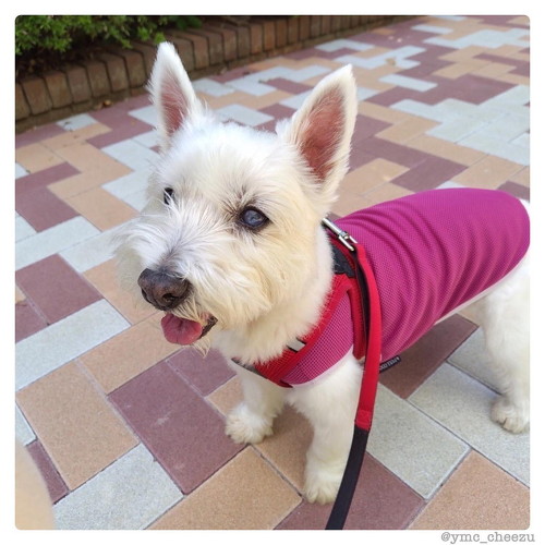 笑顔のちーちゃん