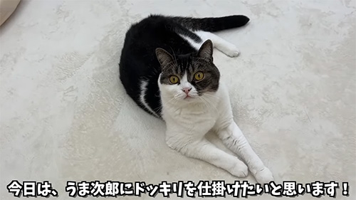 ぽこ太郎くんにドッキリを