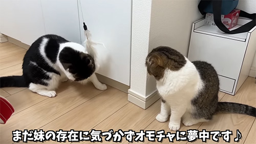 まだ気づかず