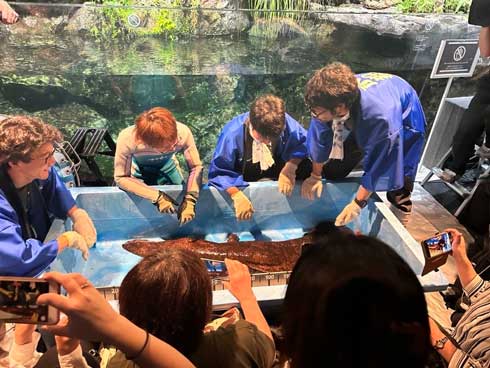 京都水族館 9月9日 オオサンショウウオの日 2023 山車 オオサン小太郎