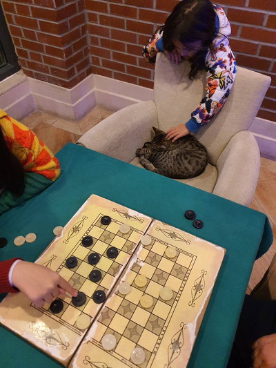 カフェで寝る猫