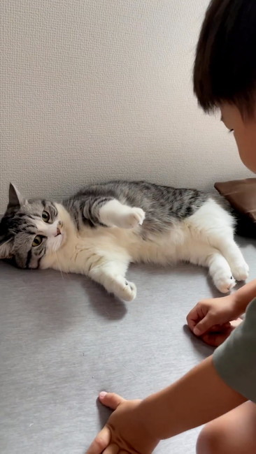 見つめ合うふたり