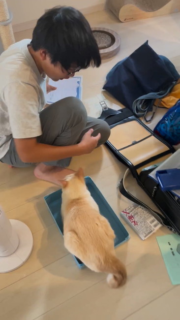 書類出すお兄ちゃん