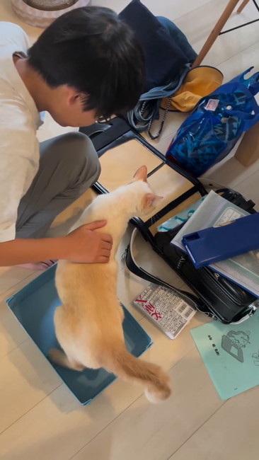 ランドセル見る