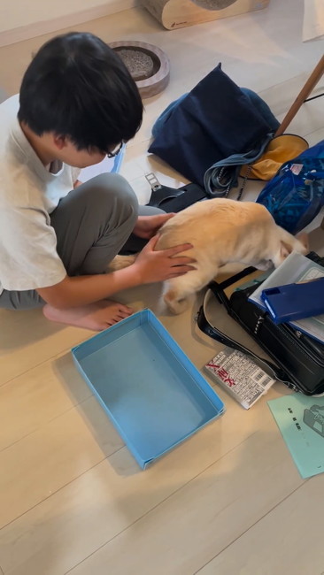 ランドセル入ろうとする