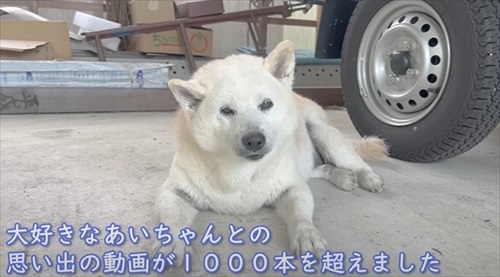 家族とあいちゃんの大切な思い出