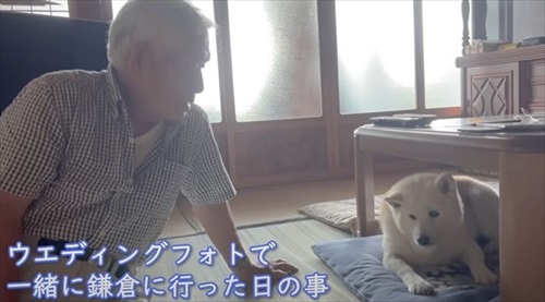 家族とあいちゃんの大切な思い出